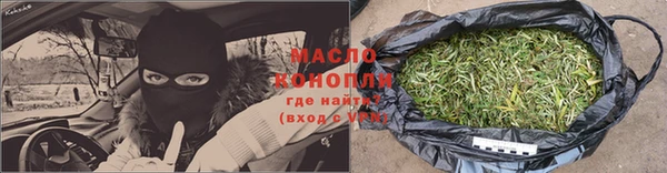гашик Дмитриев