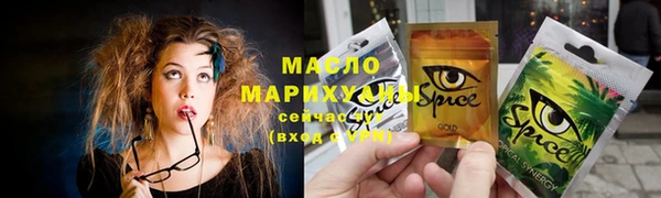 индика Михайловка