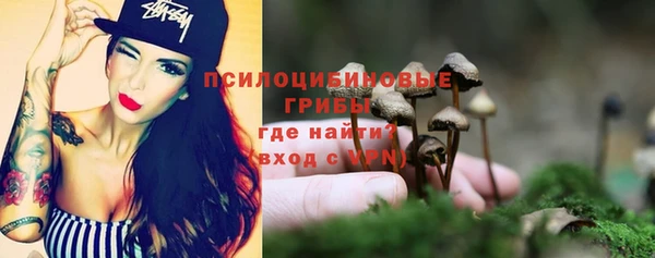 гашик Дмитриев