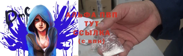 мяу мяу мука Михайловск