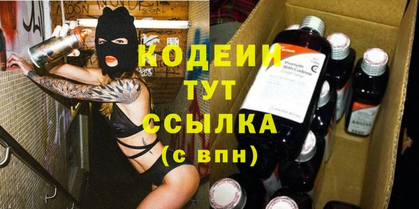 гашик Дмитриев