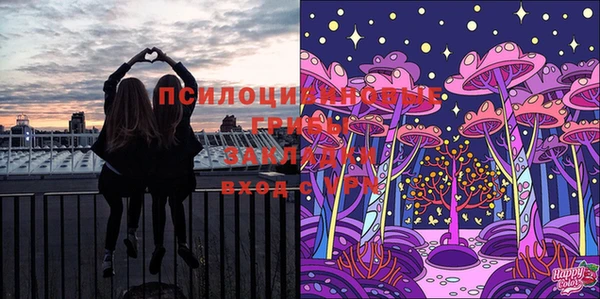МДПВ Дмитров