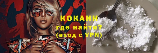 гашик Дмитриев